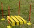 /album/fotogalerie-agility1/ag-skokdaleky-1-jpg/